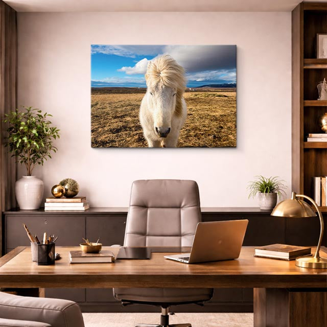 cuadro canvas vida salvaje caballo blanco en pradera horizontal