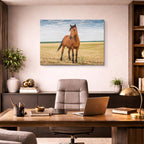 cuadro canvas vida salvaje caballo solitario en pradera horizontal
