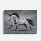 cuadro canvas vida salvaje caballo blanco en galope horizontal