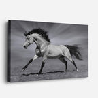 cuadro canvas vida salvaje caballo blanco en galope horizontal