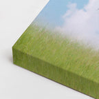 cuadro canvas vida salvaje caballo blanco en salto horizontal