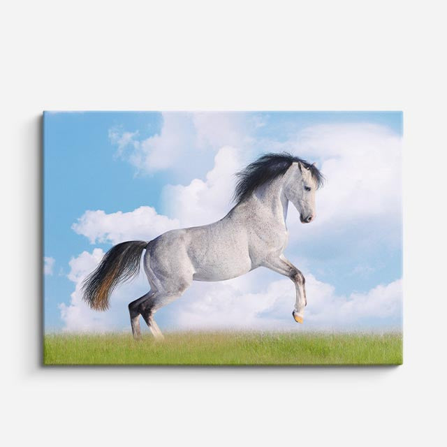 cuadro canvas vida salvaje caballo blanco en salto horizontal