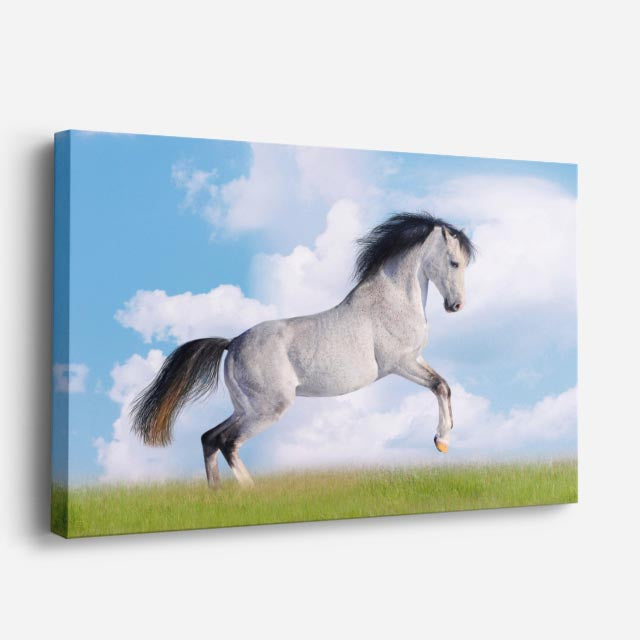 cuadro canvas vida salvaje caballo blanco en salto horizontal