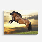 cuadro canvas vida salvaje salto dramático de caballo horizontal