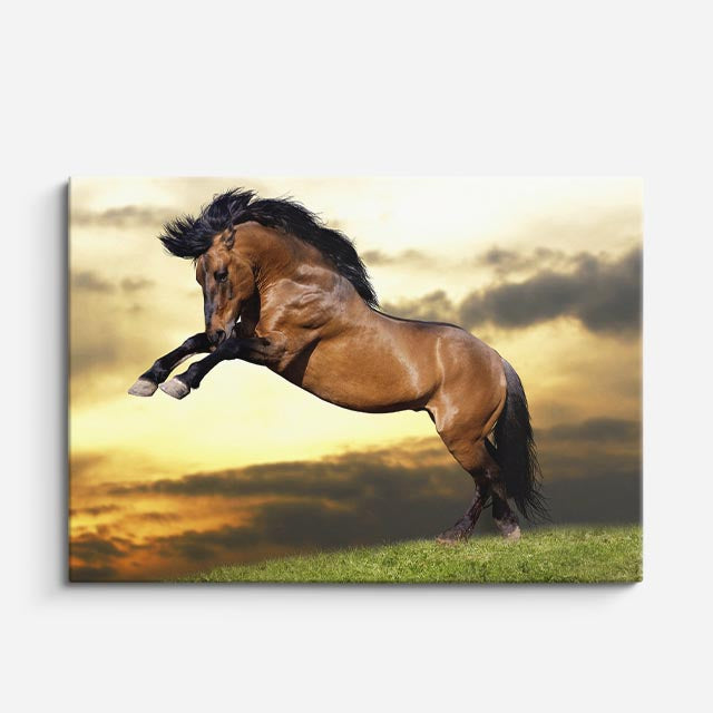 cuadro canvas vida salvaje salto dramático de caballo horizontal