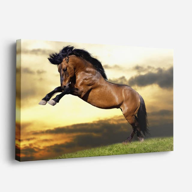cuadro canvas vida salvaje salto dramático de caballo horizontal