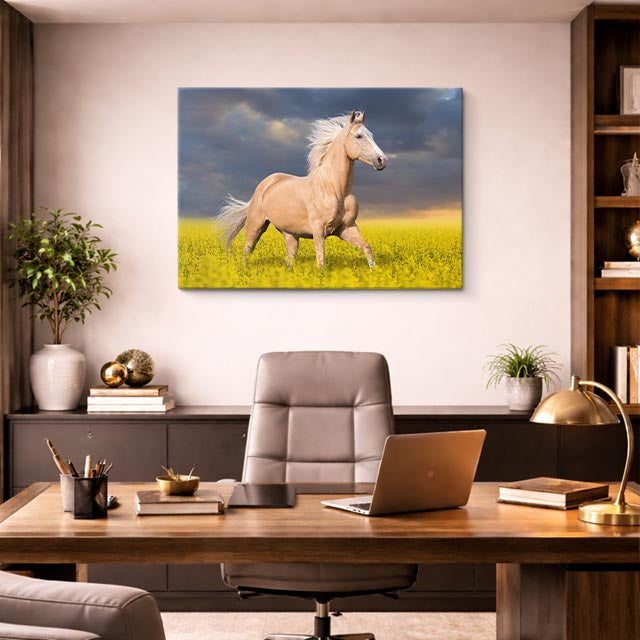 cuadro canvas vida salvaje caballo blanco en campo horizontal