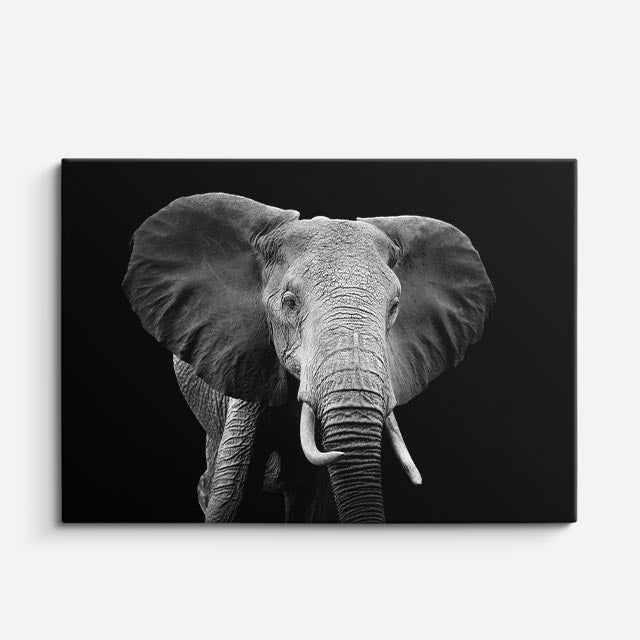 cuadro canvas vida salvaje retrato majestuoso del gigante horizontal