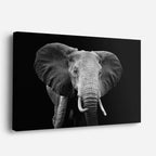 cuadro canvas vida salvaje retrato majestuoso del gigante horizontal