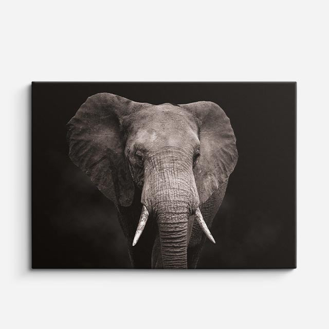cuadro canvas vida salvaje mirada antigua del sabio horizontal