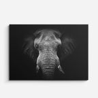 cuadro canvas vida salvaje espíritu del elefante horizontal