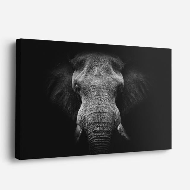 cuadro canvas vida salvaje espíritu del elefante horizontal