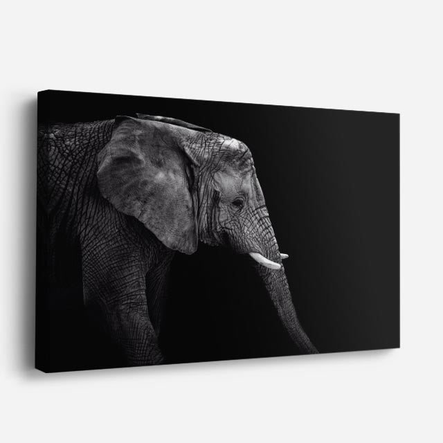 cuadro canvas vida salvaje perfil del guardián horizontal