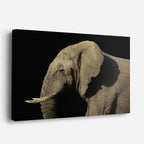 cuadro canvas vida salvaje gigante de marfil horizontal