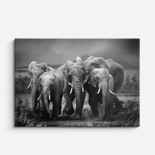 cuadro canvas vida salvaje familia en la niebla horizontal