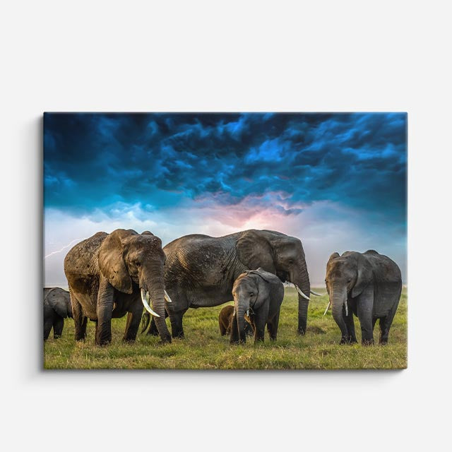cuadro canvas vida salvaje horizonte de gigantes horizontal