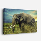 cuadro canvas vida salvaje gigante entre hierbas horizontal