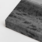cuadro canvas vida salvaje coloso en blanco y negro horizontal