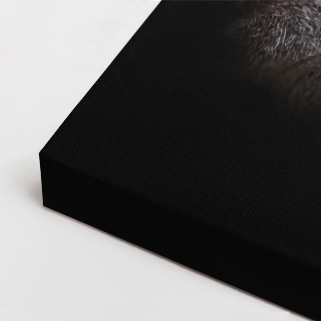 cuadro canvas vida salvaje mirada del leopardo horizontal