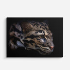 cuadro canvas vida salvaje mirada del leopardo horizontal