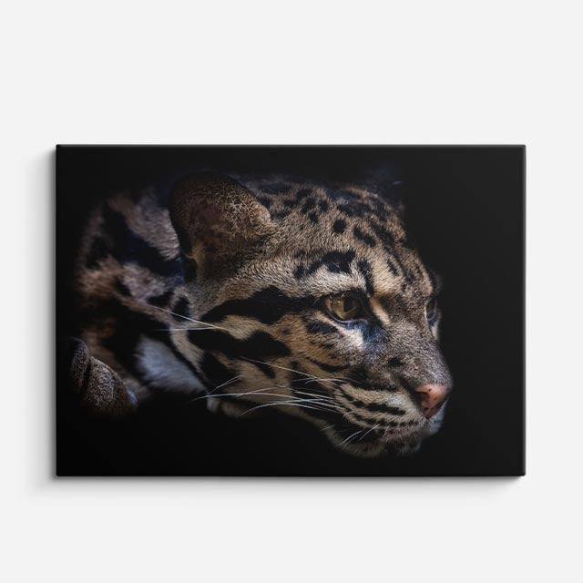 cuadro canvas vida salvaje mirada del leopardo horizontal