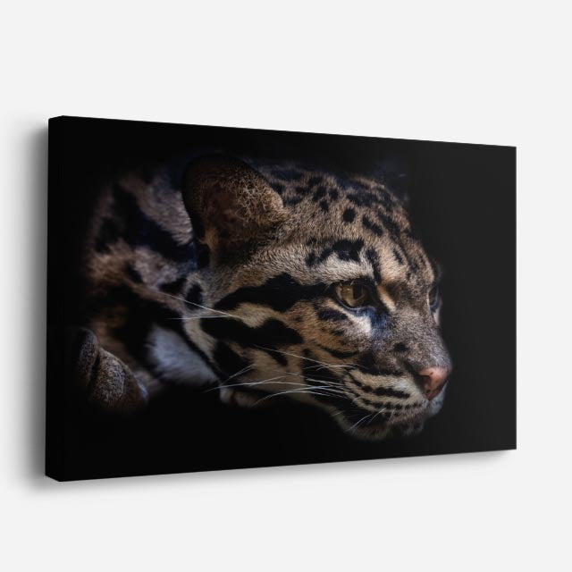 cuadro canvas vida salvaje mirada del leopardo horizontal