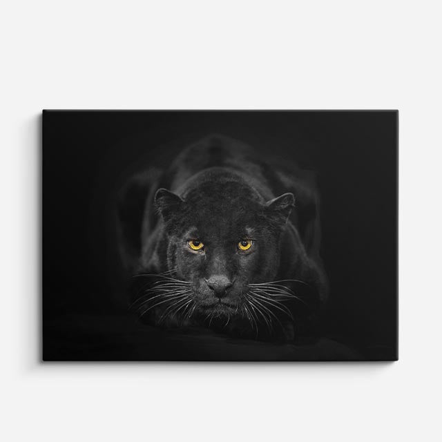 cuadro canvas vida salvaje sombra de pantera negra horizontal