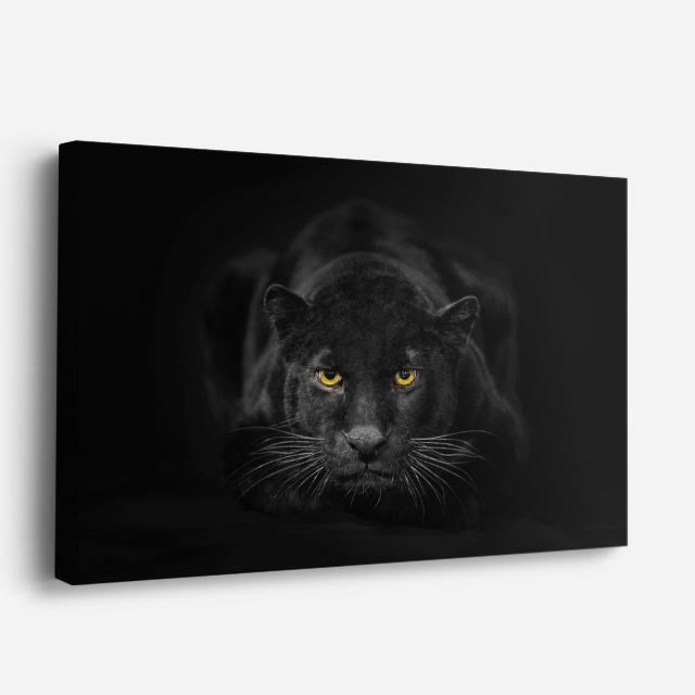 cuadro canvas vida salvaje sombra de pantera negra horizontal