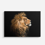 cuadro canvas vida salvaje rey león majestuoso horizontal