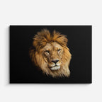 cuadro canvas vida salvaje león dorado retrato horizontal