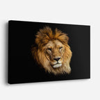 cuadro canvas vida salvaje león dorado retrato horizontal