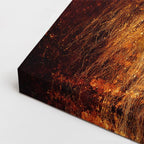 cuadro canvas vida salvaje espíritus de fuego horizontal
