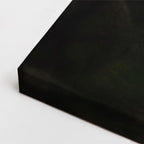 cuadro canvas vida salvaje león blanco sereno horizontal