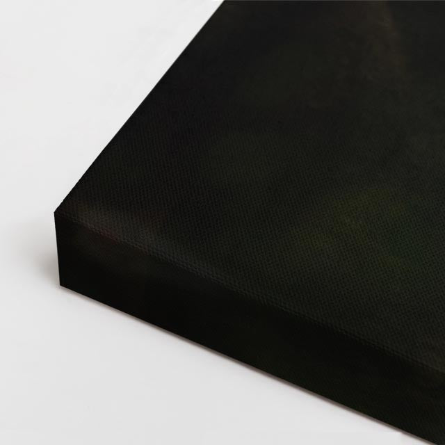 cuadro canvas vida salvaje león blanco sereno horizontal