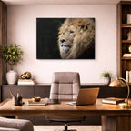 cuadro canvas vida salvaje león blanco sereno horizontal