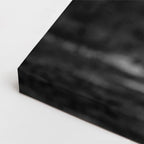 cuadro canvas vida salvaje león en blanco negro horizontal