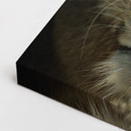cuadro canvas vida salvaje mirada de leona horizontal