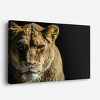 cuadro canvas vida salvaje mirada de leona horizontal