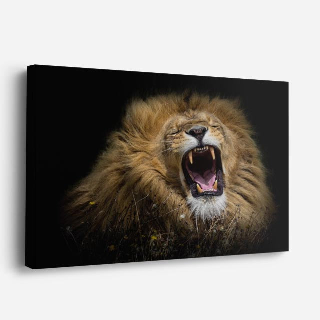 cuadro canvas vida salvaje furia del león horizontal