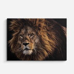 cuadro canvas vida salvaje león alfa salvaje horizontal