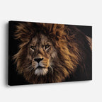 cuadro canvas vida salvaje león alfa salvaje horizontal