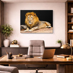 cuadro canvas vida salvaje león dorado reposo horizontal