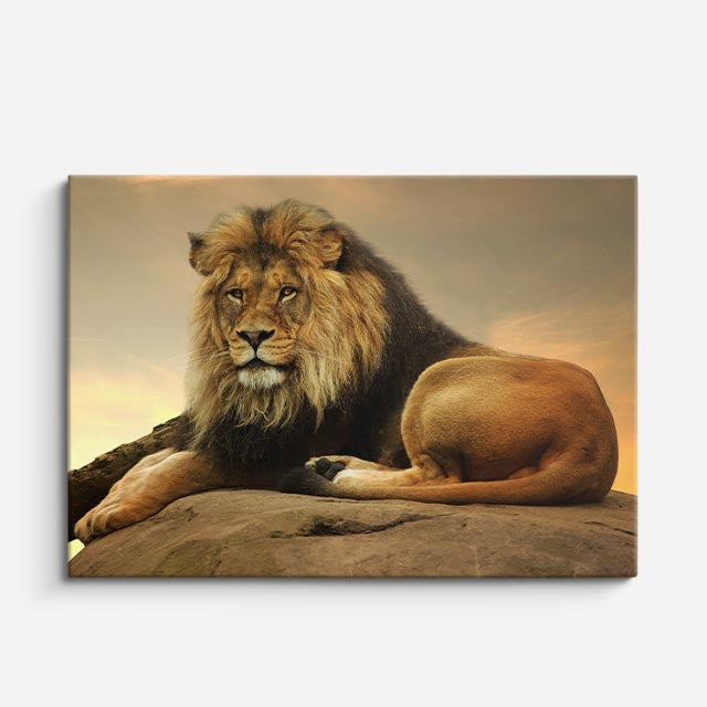 cuadro canvas vida salvaje león dorado majestuoso horizontal