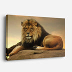 cuadro canvas vida salvaje león dorado majestuoso horizontal