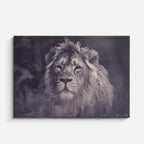 cuadro canvas vida salvaje león blanco fantasma horizontal