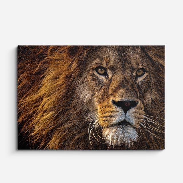 cuadro canvas vida salvaje retrato león salvaje horizontal