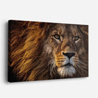 cuadro canvas vida salvaje retrato león salvaje horizontal