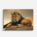 cuadro canvas vida salvaje rey león sereno horizontal