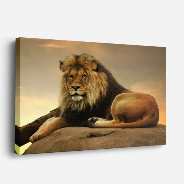 cuadro canvas vida salvaje rey león sereno horizontal