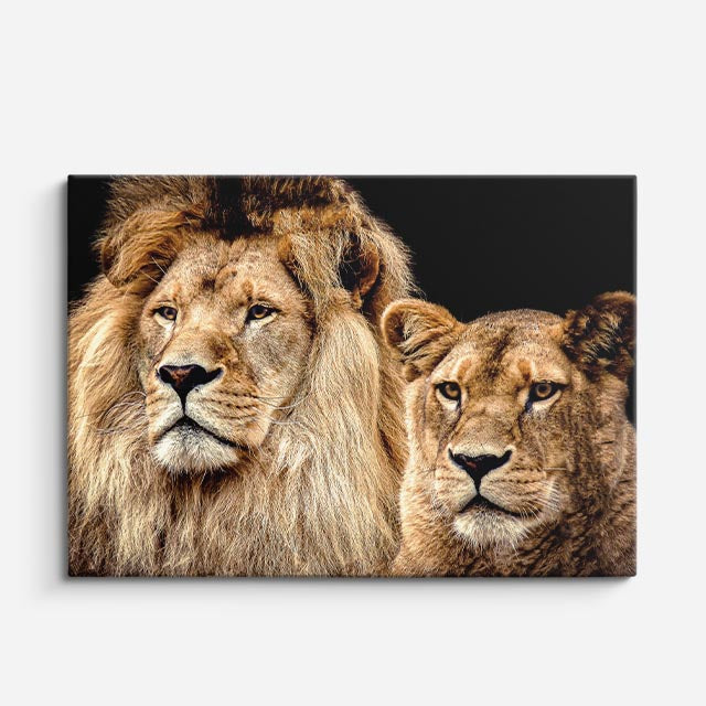 cuadro canvas vida salvaje familia real salvaje horizontal